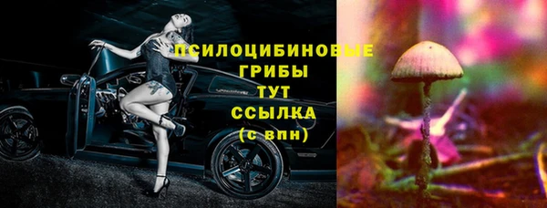 ECSTASY Алексин