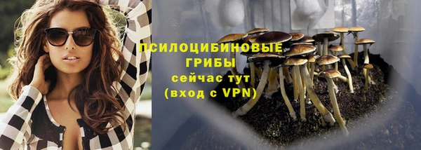 синтетический гашиш Алексеевка