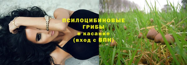 гашик Алзамай