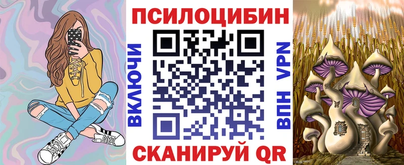 shop какой сайт  Менделеевск  блэк спрут ТОР  Псилоцибиновые грибы Magic Shrooms  закладка 